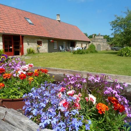Ansumardi Farmstay Kavandi Екстериор снимка