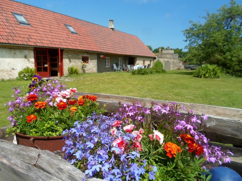 Ansumardi Farmstay Kavandi Екстериор снимка