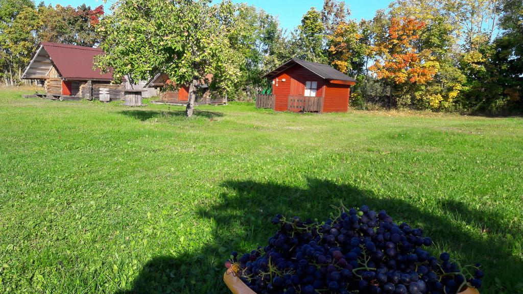 Ansumardi Farmstay Kavandi Екстериор снимка